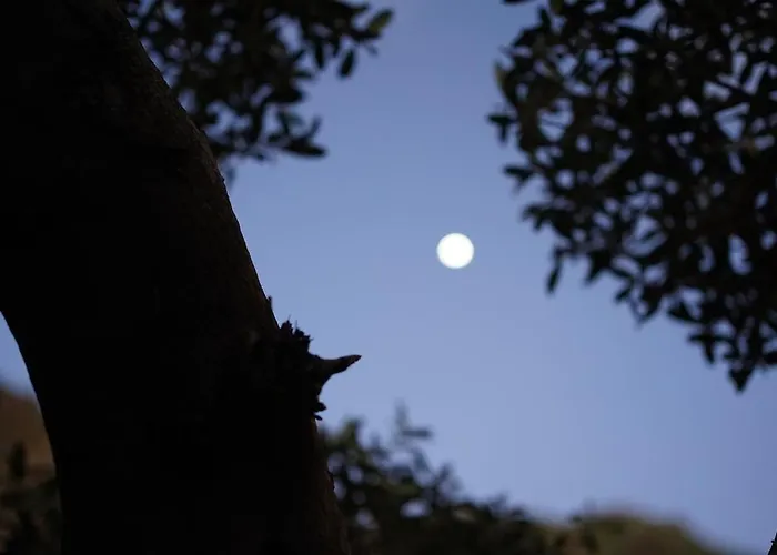 Sunset Avenue For Couple W/ Jacuzzi Hot Water *